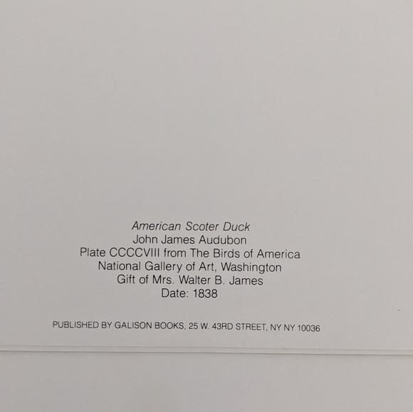 Audubon's Ducks Boxed Set Of Blank Note cards 5x7 Natl Gallery Of Art Set Of 14 - Picture 9 of 10
